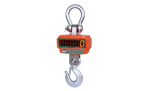 Electronic Crane Scales