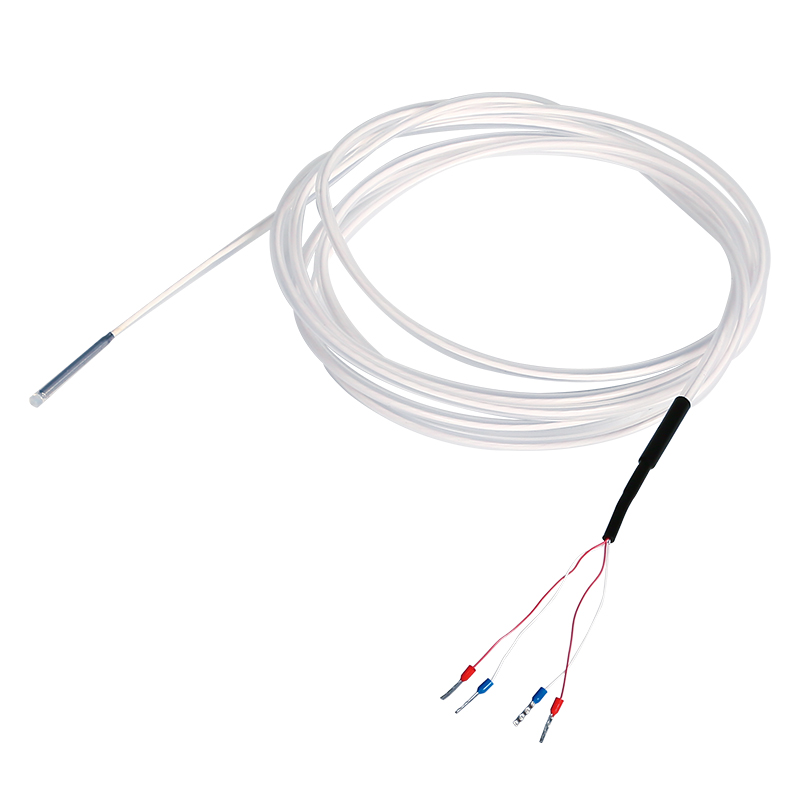 Corrosion-Resistant Platinum Resistors
