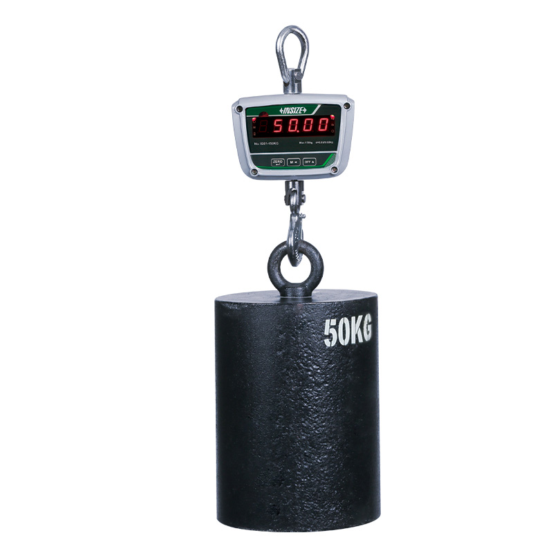 Direct View Electronic Crane Scales