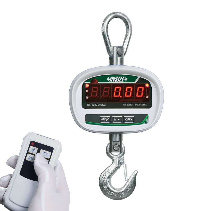Direct View Electronic Crane Scales (Basic Type)