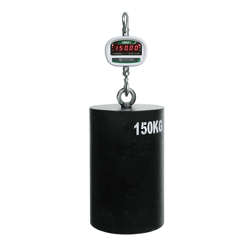 Direct View Electronic Crane Scales (Basic Type)