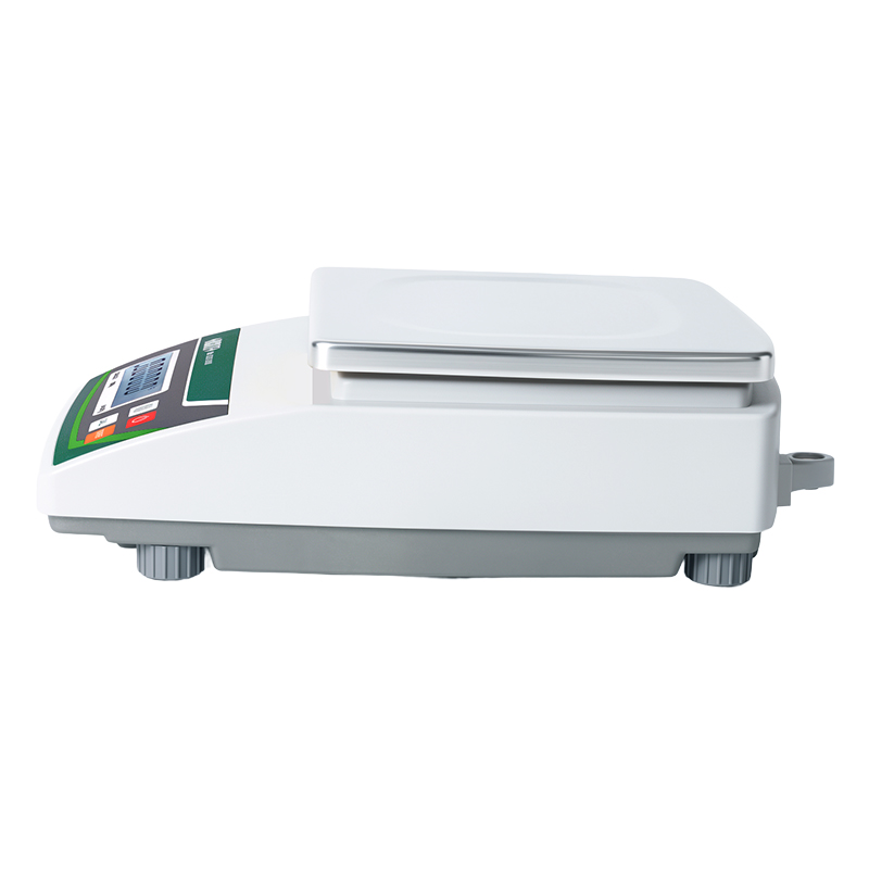 Electronic Balances (Standard Type)