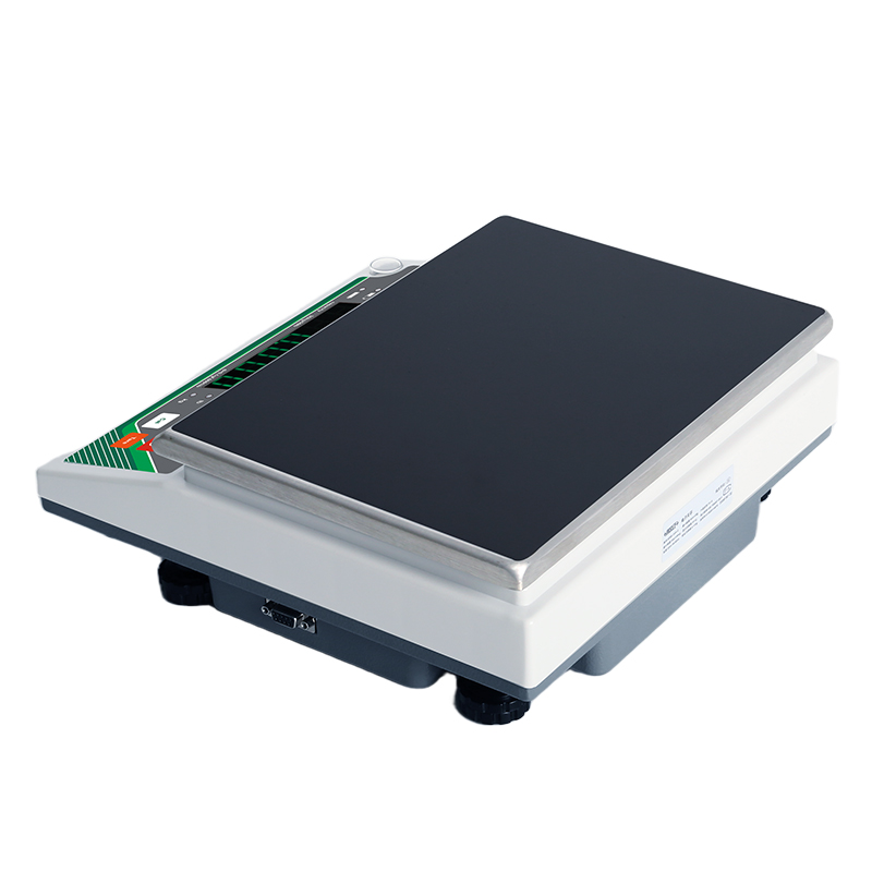 Industrial Electronic Balances